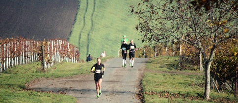 Na Vinařském maratonu zazářili Vabroušek a Mirvaldová