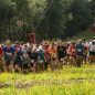 Vyhlášení výsledků Kilpi Trail Running Cupu (Sál Filmů a setkávání, SO 11:30 &#8211; 12:30)