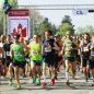 Nymburský půlmaraton ozdobil Maročan Saji traťovým rekordem, ženám vévodila Ivana Sekyrová + FOTKY ÚČASTNÍKŮ ZDARMA KE STAŽENÍ