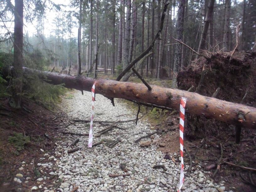 Fotografie ze závodu