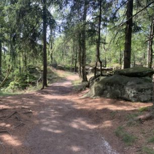 Běžecká trasa česko-německým pohraničím v okolí hradu Oybin