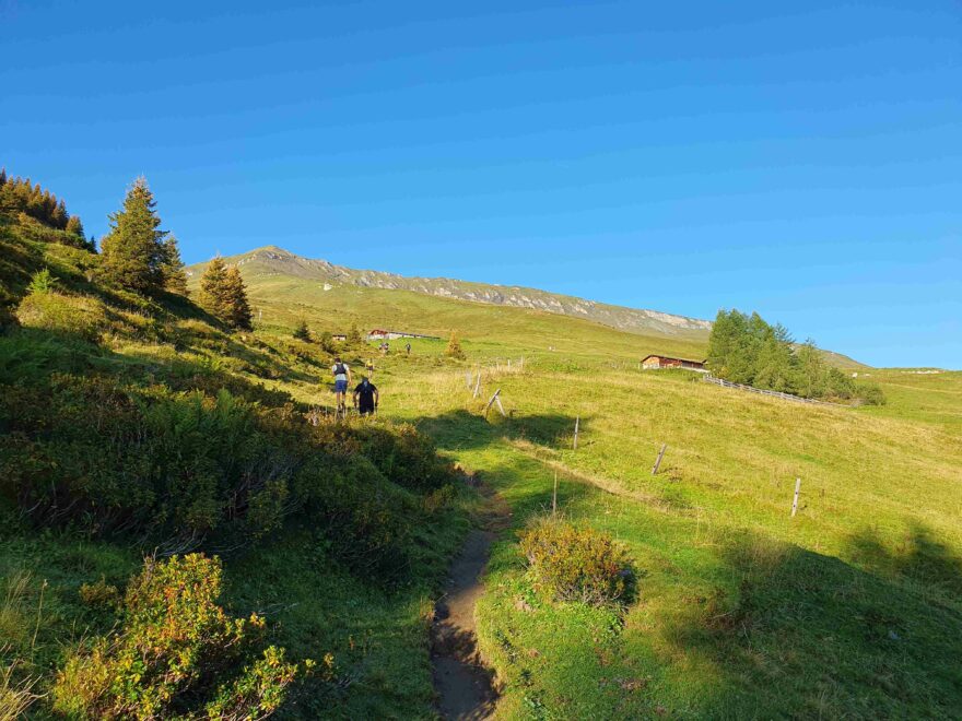 Po cca 1100 nastoupaných výškových metrech se trasa 30 km dostává nad hranici na lesa Gadaumer Hochalm a začínají parádní horské výhledy, Adidas Terrex Infinite Trails