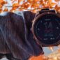 Recenze: Garmin Fénix 8 – král je (skoro) mrtev, až žije král